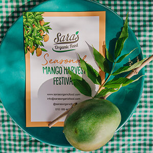 Mango Harvest 2022