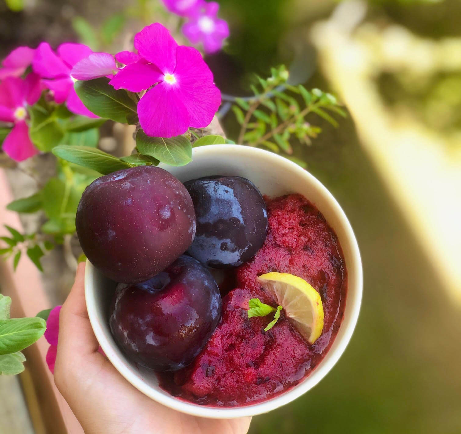 Plum Sorbet