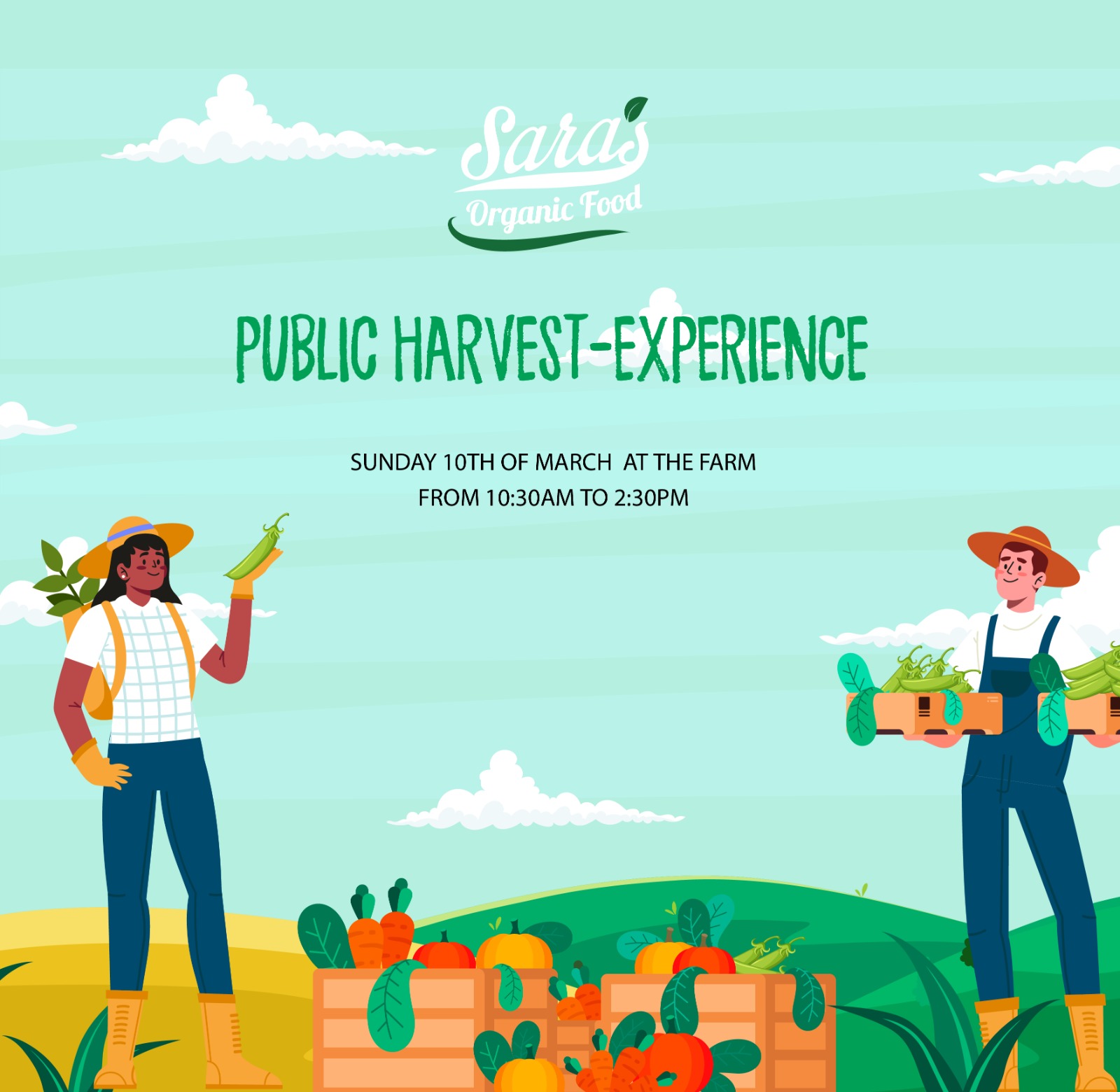 Public Harvest Experience