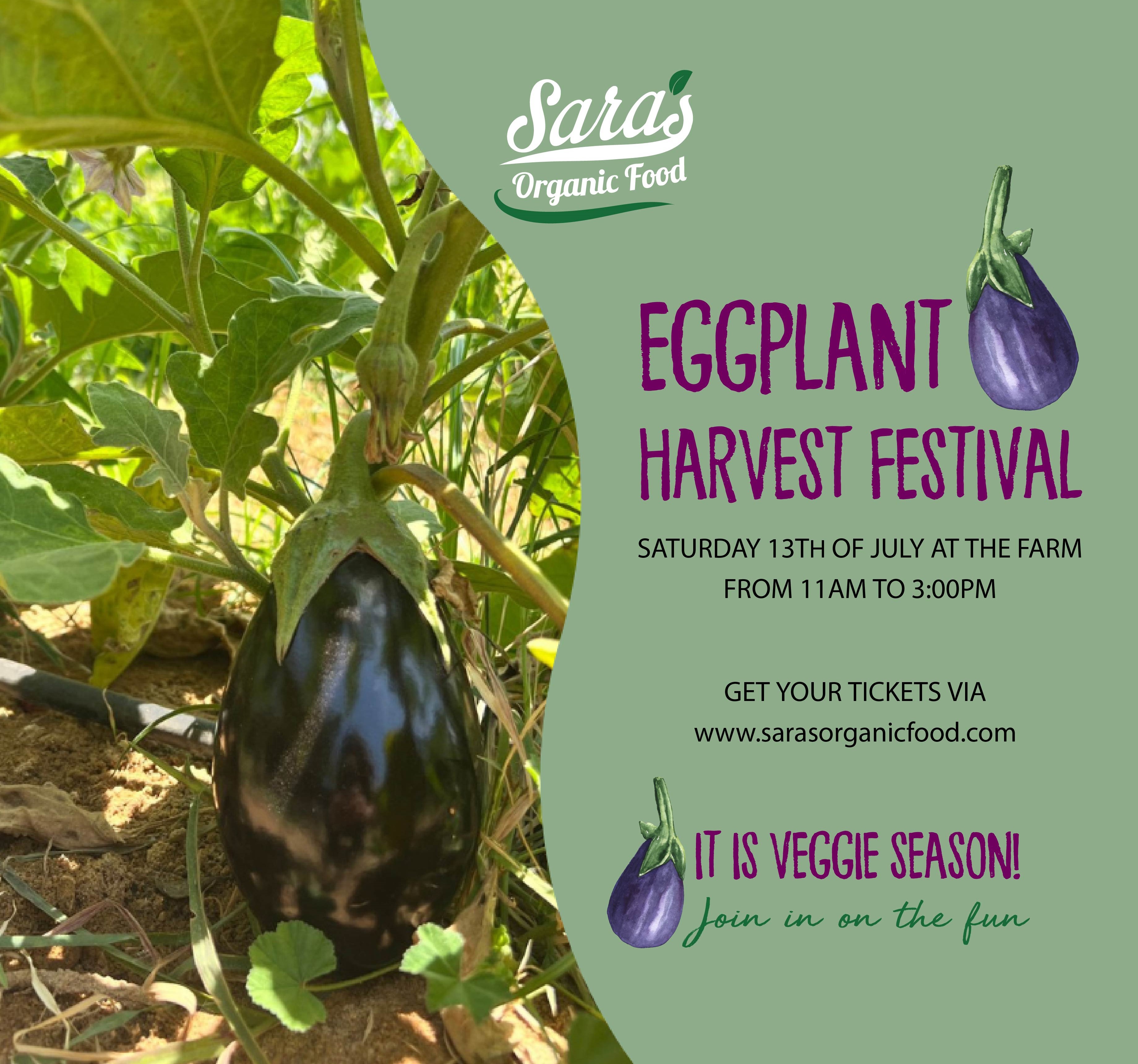 Eggplant Harvest Festival