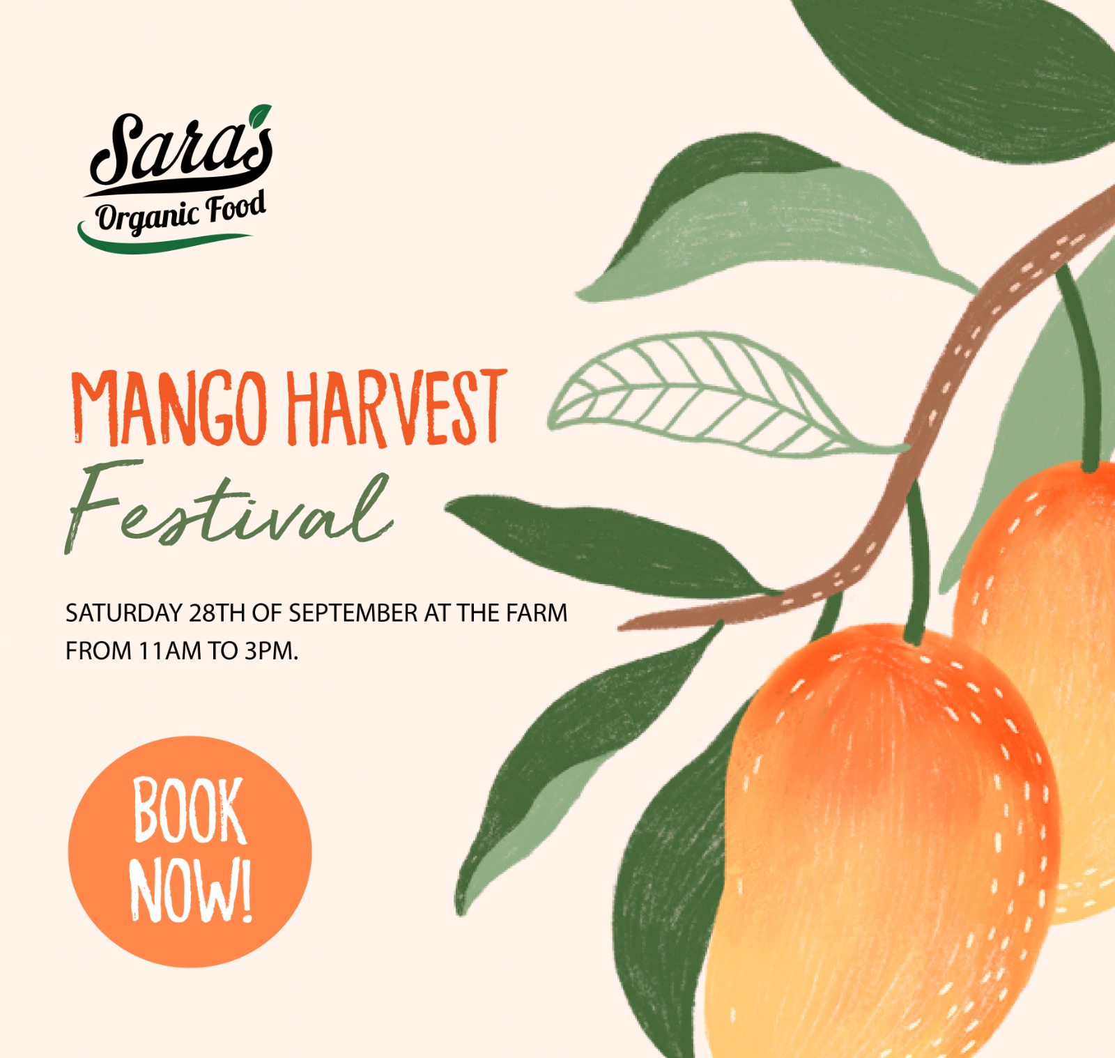 Mango Harvesting Festival, September 2024